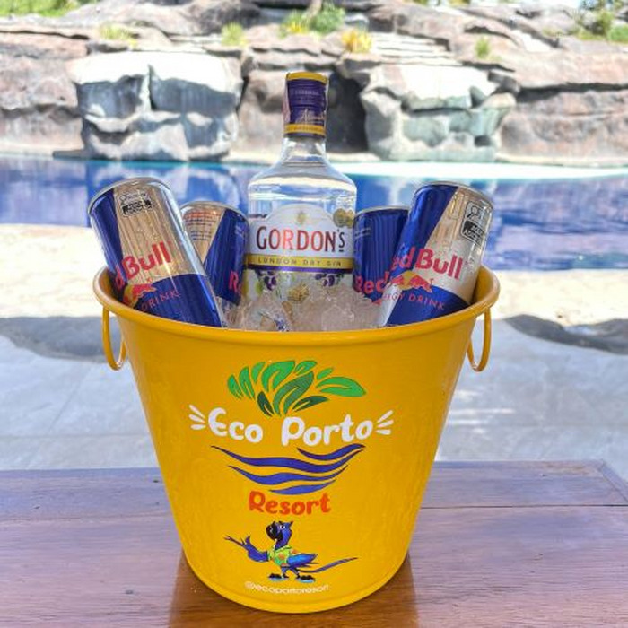 Combo Gin Gordons + 04 Energéticos Lata