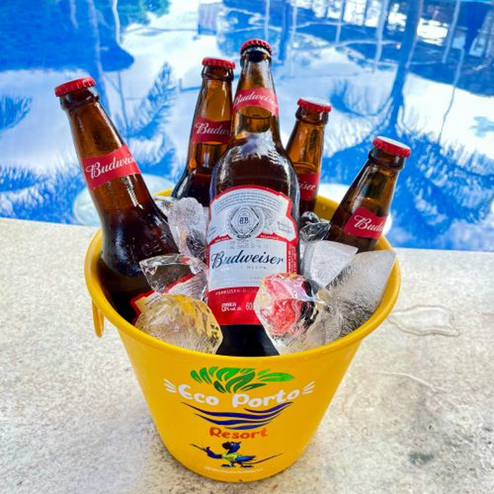 Combo 05 Budweiser 600ml