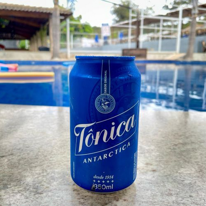 Água Tônica Antarctica 350ml Lt